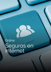Seguros en internet. Imagen web.